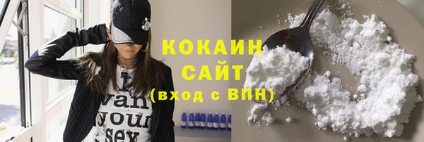 apvp Вязьма