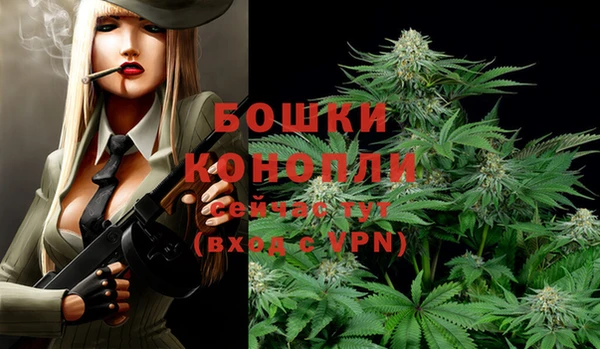 таблы Вяземский