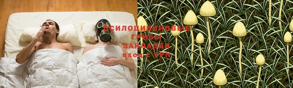 ALPHA PVP Вязники