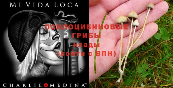 таблы Вяземский