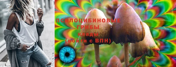apvp Вязьма