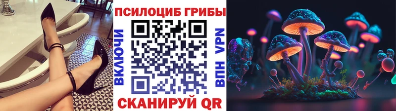 Псилоцибиновые грибы Psilocybine cubensis Камызяк