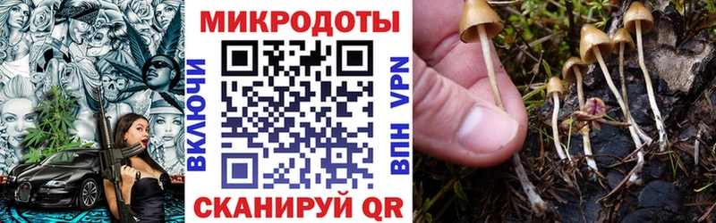 Купить где  Камызяк  Галлюциногенные грибы прущие грибы 