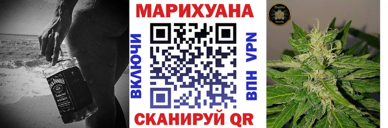 Конопля Bruce Banner  Купить где  Камызяк 